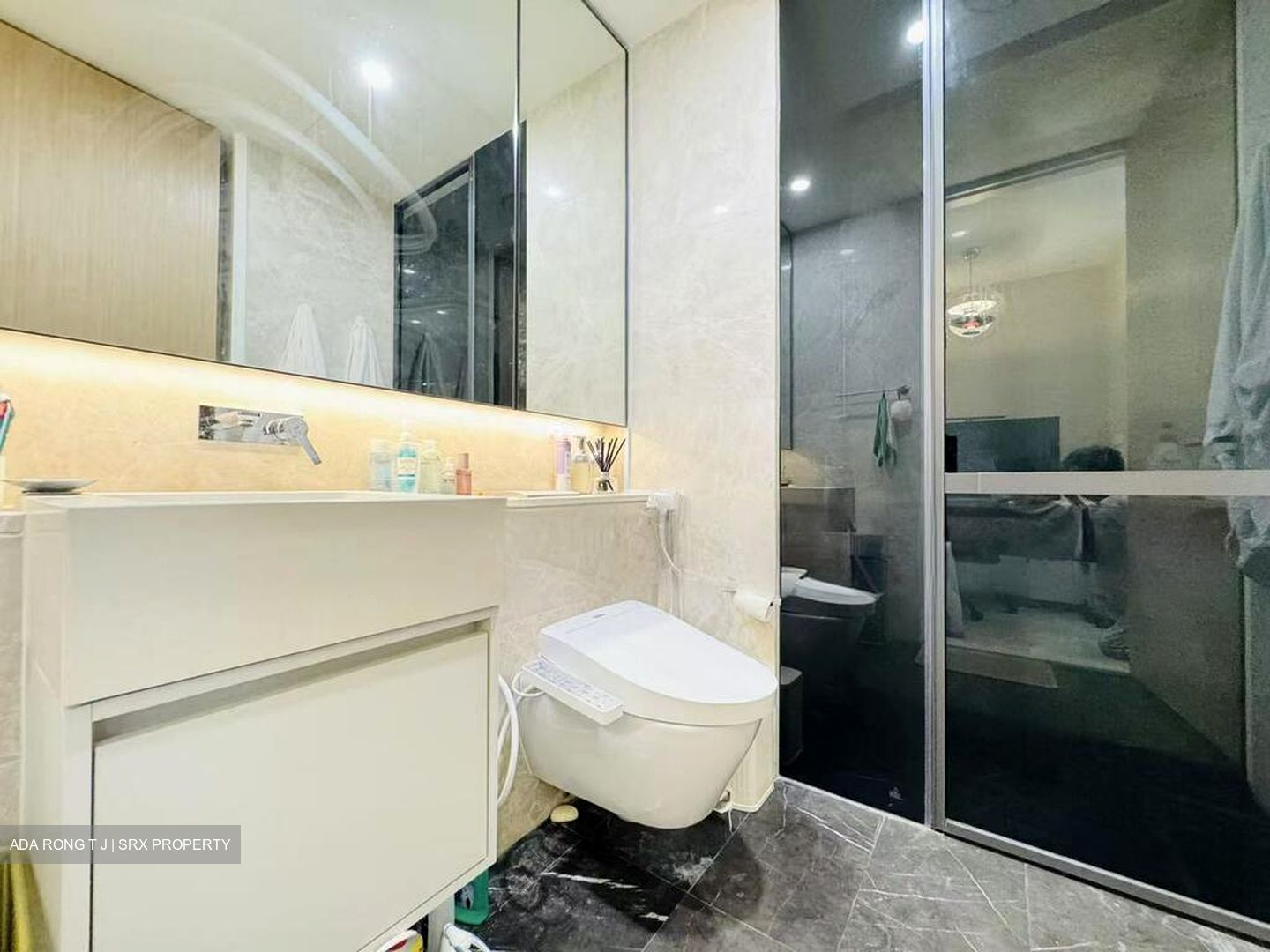 Amber Park (D15), Condominium #499667641